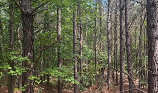 Photo #36 of Piney Mountain Road, Appomattox, VA 22.7 acres