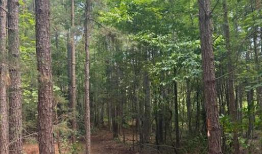 Photo #39 of Piney Mountain Road, Appomattox, VA 22.7 acres