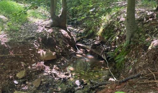 Photo #27 of Piney Mountain Road, Appomattox, VA 22.7 acres