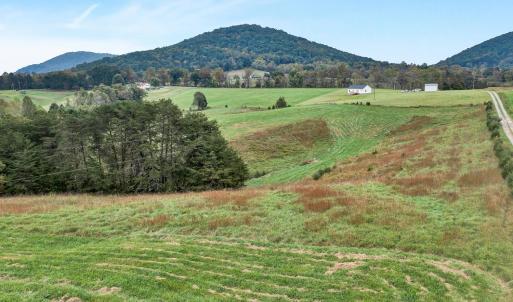 Photo #2 of Fox Lane, Moneta, VA 47.1 acres