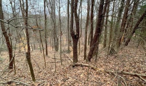 Photo #5 of 0 Moneta Road, Bedford, VA 7.8 acres