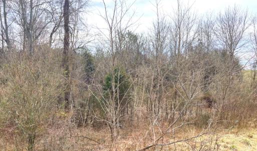 Photo #2 of 0 Moneta Road, Bedford, VA 7.8 acres