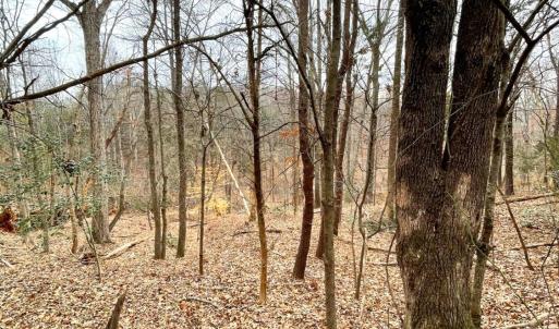 Photo #4 of 0 Moneta Road, Bedford, VA 7.8 acres