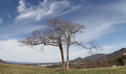 Photo #54 of 481 Richardson Drive, Roanoke, VA 33.6 acres