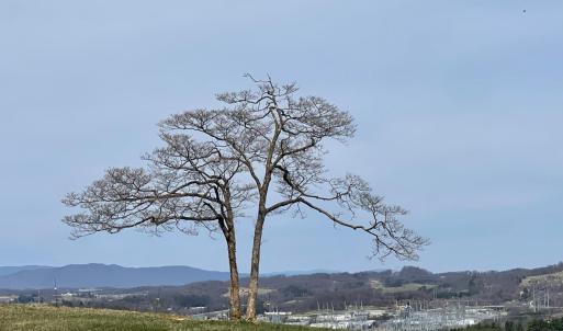 Photo #27 of 481 Richardson Drive, Roanoke, VA 33.6 acres