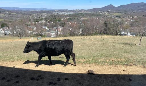 Photo #41 of 481 Richardson Drive, Roanoke, VA 33.6 acres
