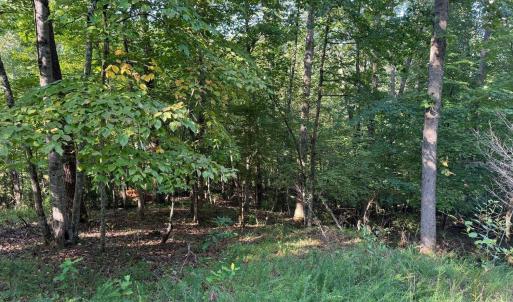 Photo #2 of 2 Cedar Bluff, Hardy, VA 0.5 acres