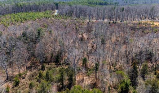 Photo #30 of Norwood Road, Gladstone, VA 26.8 acres