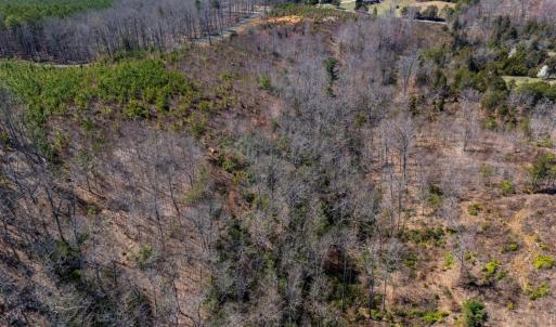 Photo #15 of Norwood Road, Gladstone, VA 26.8 acres