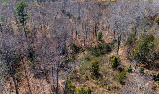 Photo #28 of Norwood Road, Gladstone, VA 26.8 acres