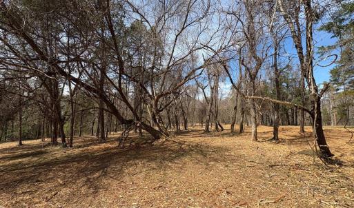 Photo #4 of Dulwich Drive, Amherst, VA 50.0 acres