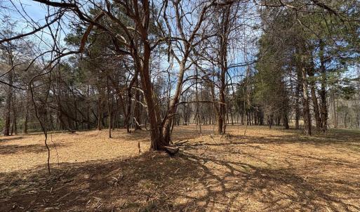 Photo #5 of Dulwich Drive, Amherst, VA 50.0 acres