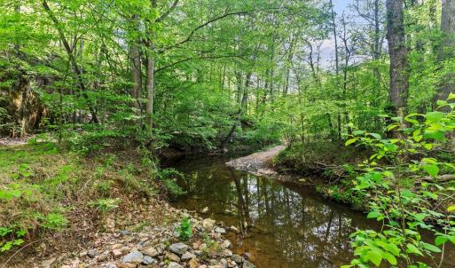 Photo #38 of 4067 Dickerson Mill Road, Bedford, VA 73.5 acres