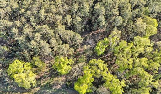 Photo #4 of 305 Runaway Bay Road, Lynch Station, VA 5.3 acres