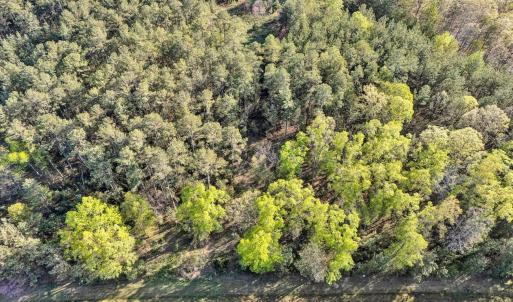 Photo #5 of 305 Runaway Bay Road, Lynch Station, VA 5.3 acres