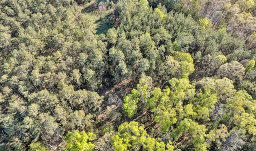 Photo #7 of 305 Runaway Bay Road, Lynch Station, VA 5.3 acres