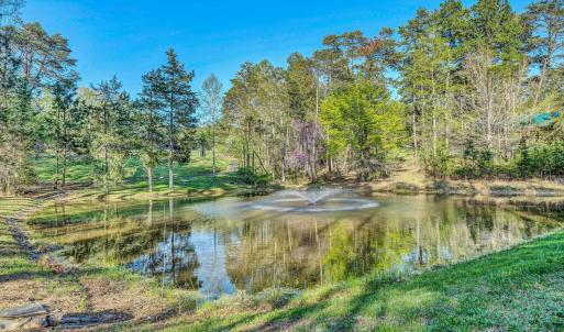 Photo #10 of 305 Runaway Bay Road, Lynch Station, VA 5.3 acres