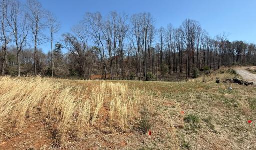 Photo #1 of 202 Waughs Landing Drive, Lynchburg, VA 0.2 acres
