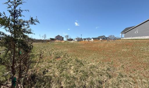 Photo #3 of 202 Waughs Landing Drive, Lynchburg, VA 0.2 acres