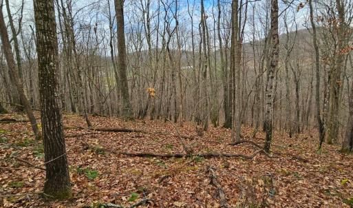 Photo #8 of Major Graham Road, Wytheville, VA 23.8 acres