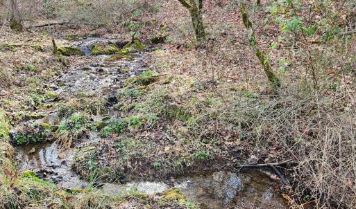 Photo #3 of Major Graham Road, Wytheville, VA 23.8 acres