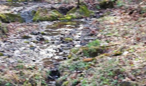 Photo #4 of Major Graham Road, Wytheville, VA 23.8 acres