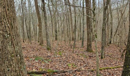 Photo #6 of Major Graham Road, Wytheville, VA 23.8 acres