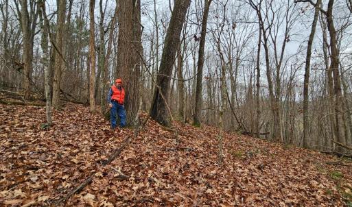 Photo #7 of Major Graham Road, Wytheville, VA 23.8 acres