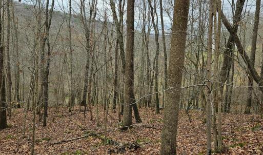 Photo #10 of Major Graham Road, Wytheville, VA 23.8 acres