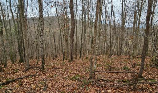 Photo #5 of Major Graham Road, Wytheville, VA 23.8 acres