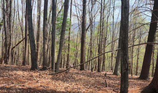 Photo #11 of 303 Harrison Creek Road, Amherst, VA 18.0 acres