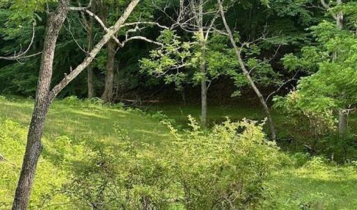 Photo #8 of 303 Harrison Creek Road, Amherst, VA 18.0 acres