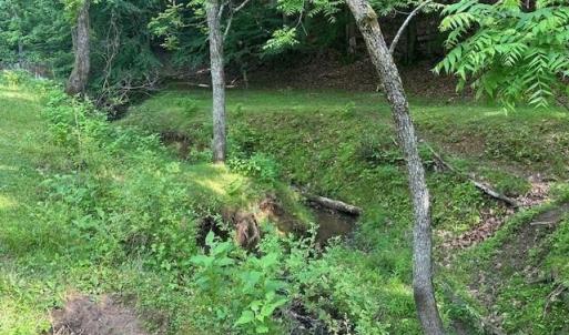 Photo #7 of 303 Harrison Creek Road, Amherst, VA 18.0 acres