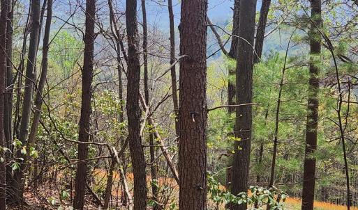Photo #12 of 303 Harrison Creek Road, Amherst, VA 18.0 acres