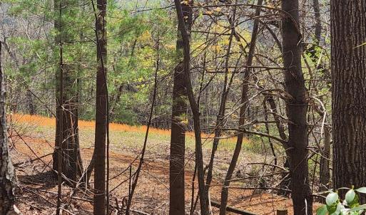 Photo #2 of 303 Harrison Creek Road, Amherst, VA 18.0 acres