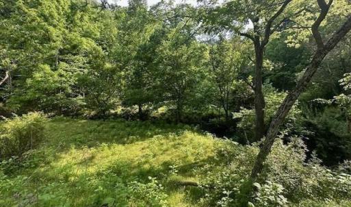 Photo #5 of 303 Harrison Creek Road, Amherst, VA 18.0 acres