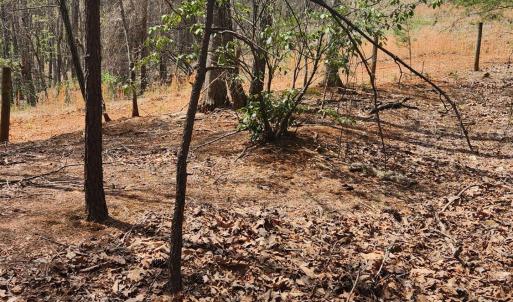 Photo #6 of 303 Harrison Creek Road, Amherst, VA 18.0 acres