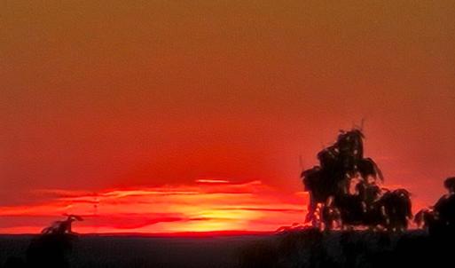 Photo #7 of Mountain Creek Rd, Green Bay, VA 42.3 acres