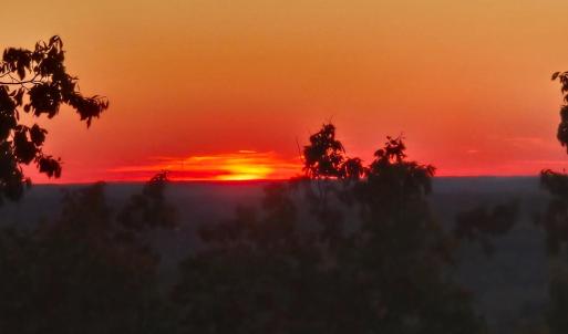 Photo #6 of Mountain Creek Rd, Green Bay, VA 42.3 acres