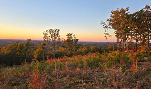 Photo #3 of Mountain Creek Rd, Green Bay, VA 42.3 acres