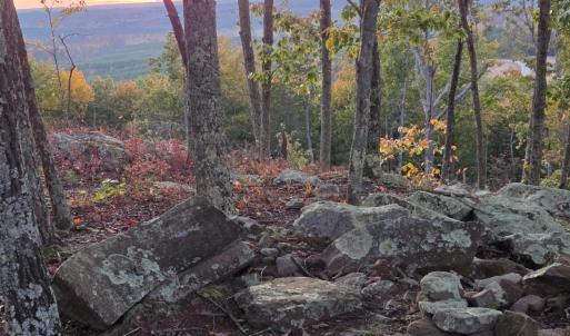 Photo #9 of Mountain Creek Rd, Green Bay, VA 42.3 acres