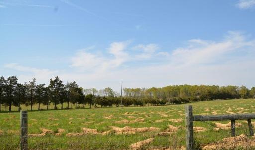 Photo #8 of Cedar Lane, Farmville, VA 103.7 acres
