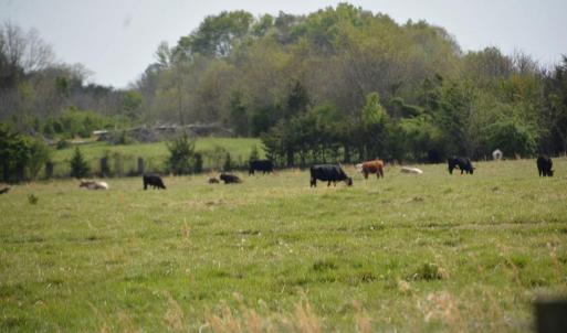 Photo #3 of Cedar Lane, Farmville, VA 103.7 acres