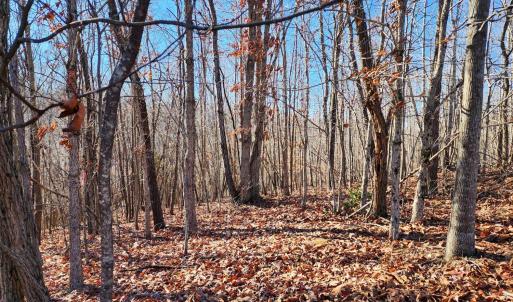 Photo #5 of Pinecrest Drive, Madison Heights, VA 94.0 acres
