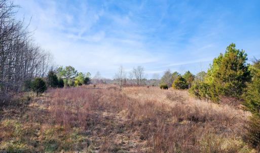 Photo #6 of Pinecrest Drive, Madison Heights, VA 94.0 acres