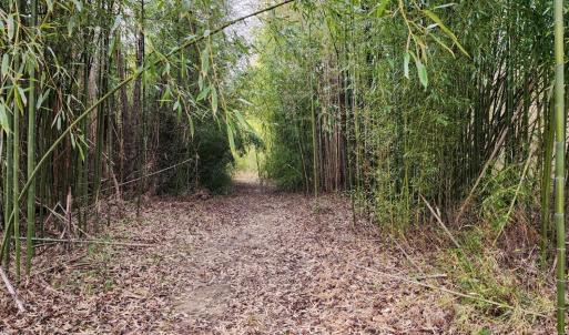 Photo #13 of Pinecrest Drive, Madison Heights, VA 94.0 acres