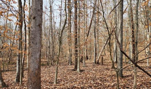 Photo #2 of Pinecrest Drive, Madison Heights, VA 94.0 acres