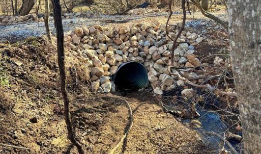 Photo #2 of 2 Watt Abbitt Road, Appomattox, VA 24.1 acres