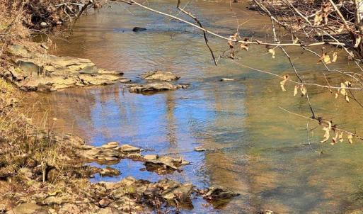 Photo #6 of 2 Watt Abbitt Road, Appomattox, VA 24.1 acres