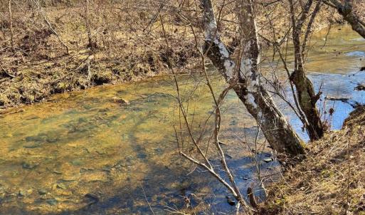 Photo #5 of 2 Watt Abbitt Road, Appomattox, VA 24.1 acres